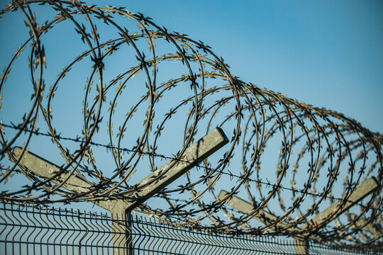 Coils of razor wire mounted on angled supports above a security fence against a clear blue sky, showing layered metal barriers and perimeter protection detail