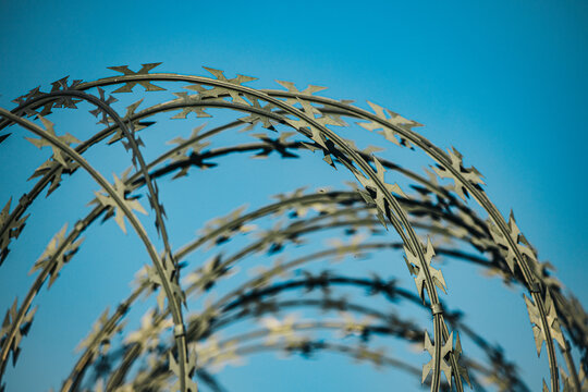 Curving coils of sharp metal barbed wire silhouetted against a vivid blue sky, with layered arches and spiked strands creating an abstract industrial pattern
