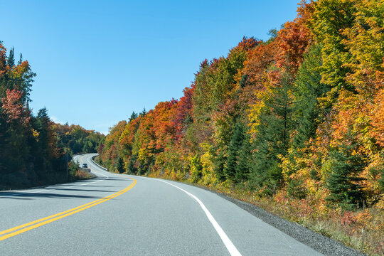 Colorful Fall Foliage Along Highway 60 Through Algonquin Park