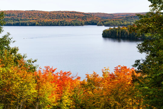 Lake Surrounded by Colorful Fall Colors