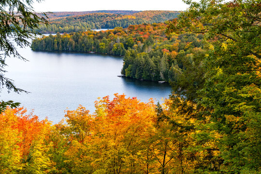 Lake Surrounded by Colorful Fall Colors