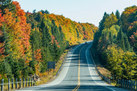 Colorful Fall Foliage Along Highway 60 Through Algonquin Park