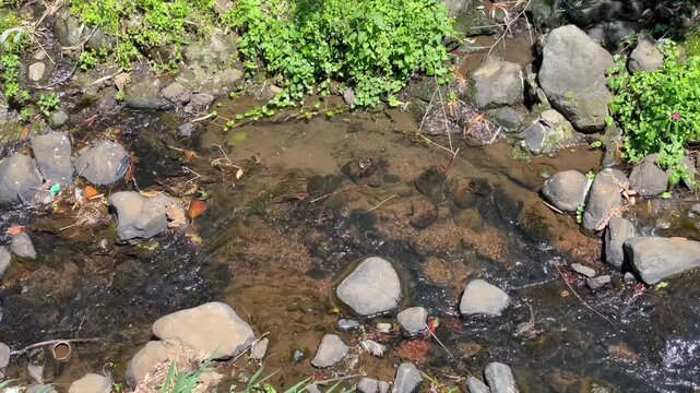 Small river stream flowing over rocks in nature   