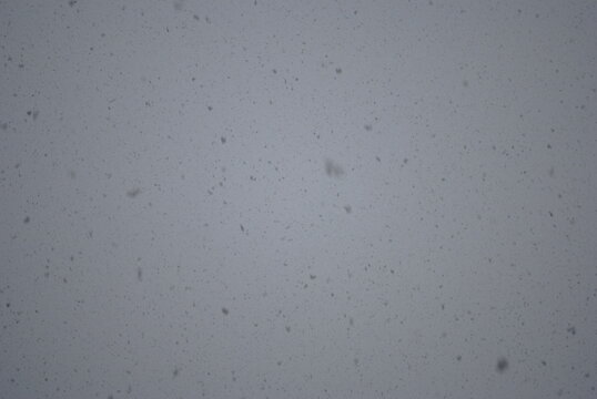 Very large snowflakes falling from a grey sky