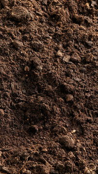 Dark organic garden soil texture close up with dark earth ground surface earthy background fertile ground dirt texture potting soil brown soil organic matter soil structure raw texture