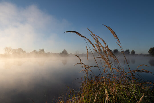 The sun is rising over a lake. Morning mist drifts across the water. Grasses grow in the foreground.