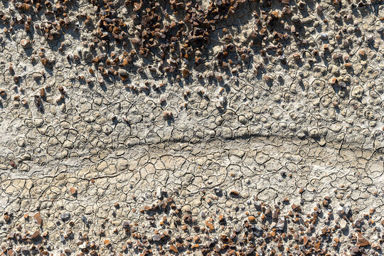 Detail of dried clay mud and rock fragments at Theodore Roosevelt National Park