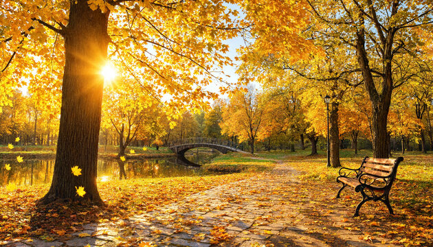 Autumn park bench scene with golden foliage and sunset reflection for seasonal marketing materials