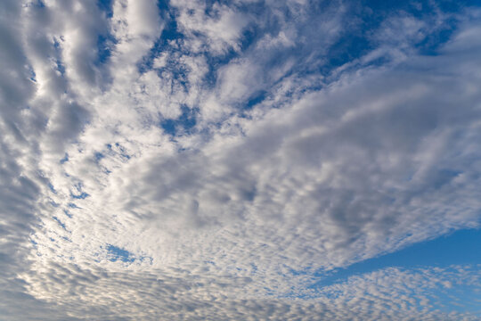 秋の朝　太陽光に輝く雲が広がる青空を見上げる風景28