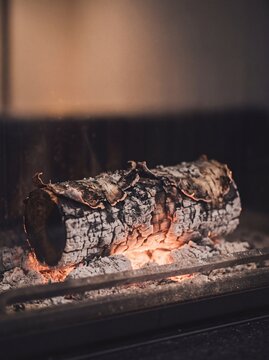 Burning birch log smoldering on glowing embers with white ash inside a cozy fireplace during winter