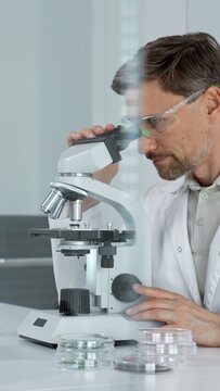 Scientist conducting focused research using a laboratory microscope, manipulating controls while examining biological samples in petri dishes on a white desk, performing scientific experiments
