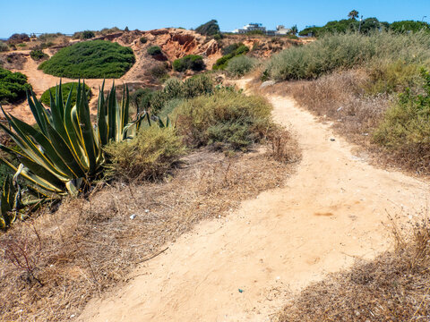 Via Algarviana Algarve Portugal hiking trail dirt path nature scene with aloe plants vegetation summer sky