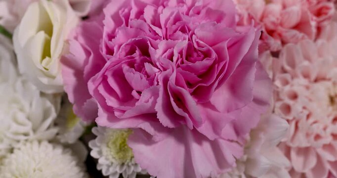 Pink carnation flower in fresh wedding bouquet, blooming carnation head with ruffled petals inside floral arrangement