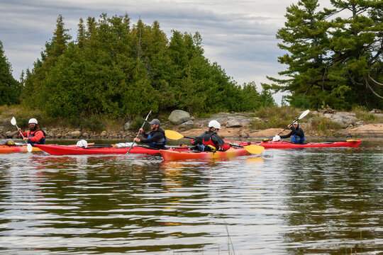 Four sea kayakers paddling past a pine-covered shoreline on an overcast morning, rippled water copy space below, Georgian Bay, Ontario