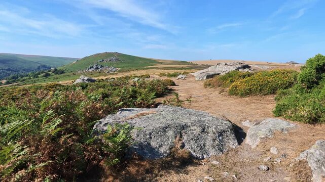 Dartmoor Devon UK. 11.08.2026. Video. Bonehill Down  in Dartmoor National Park Devon England UK. Popular area for walkers and tourists to visit.