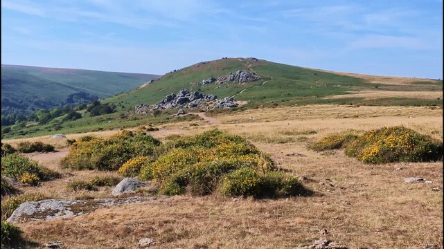 Dartmoor Devon UK. 11.08.2026. Video. Bonehill Down  in Dartmoor National Park Devon England UK. Popular area for walkers and tourists to visit.