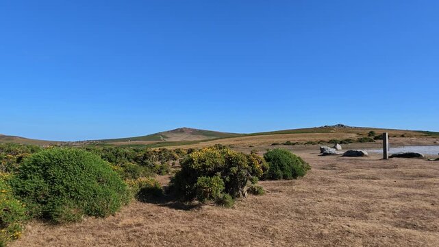 Dartmoor Devon UK. 11.08.2026. Video. Bonehill Down  in Dartmoor National Park Devon England UK. Popular area for walkers and tourists to visit.