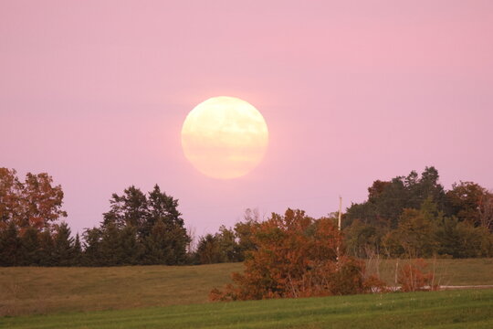 harvest moon