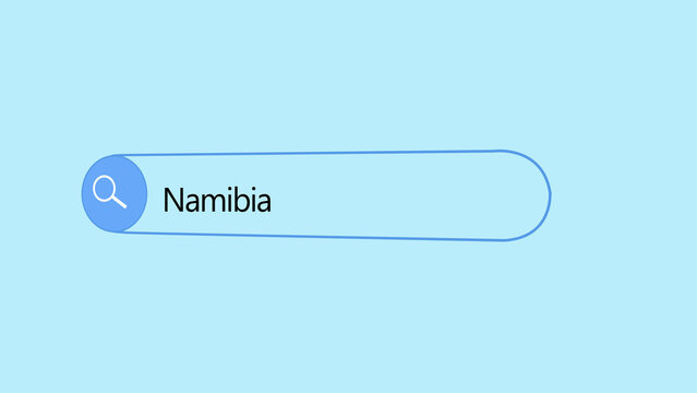 A digital search bar interface on a light blue background, with the text, query namibia displayed, inside the input, field, featuring a, magnifying glass for, web search navigation, and information
