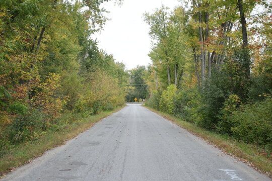 road in the woods
