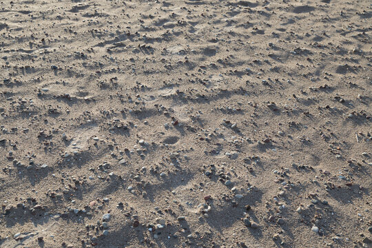 Small pebbles and sand are scattered across a beach shoreline.