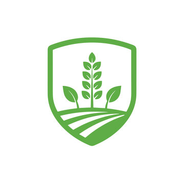 Green shield with wheat and fields icon