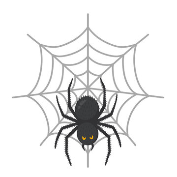 Spooky Spider In Web