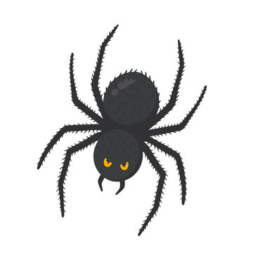 Halloween Spider With Yellow Eyes