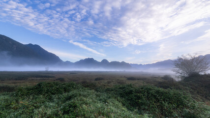 Fototapeta premium Misty Morning Landscapes in Pitt Meadows, British Columbia, Canada
