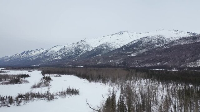 Remote Winter Valley Landscape with Snow-Covered Peaks and Pine Trees