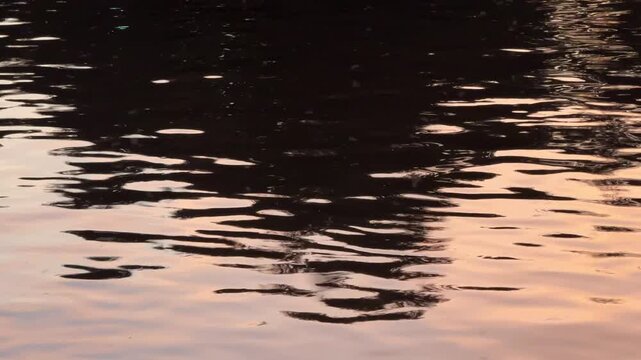 Sunset light reflecting on rippling water surface