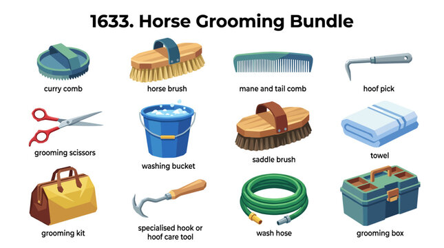Horse grooming tools set illustration showing various brushes, bucket and equipment
