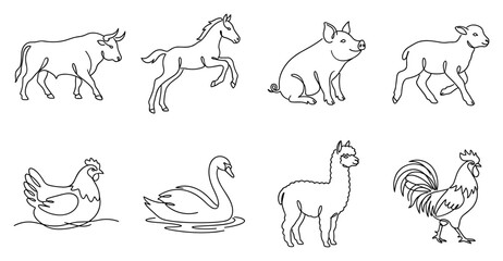Fototapeta premium Hand drawn collection of farm animals and birds including a cow horse pig sheep chicken swan llama and rooster in outline sketch style.