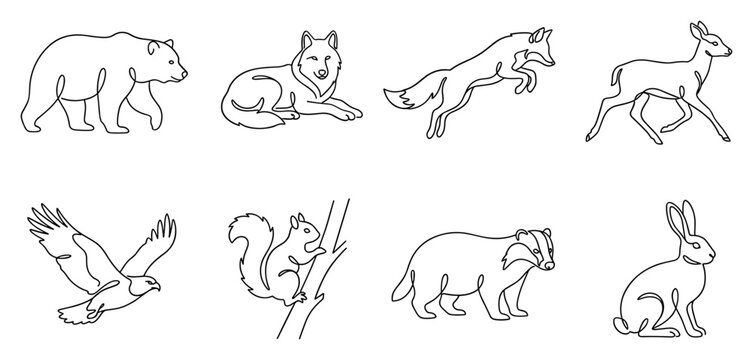 Set of various forest animals in a continuous line art style including a bear wolf fox deer bird squirrel badger and rabbit.