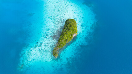 Top-down aerial view of a lush green islet in a turquoise coral reef lagoon, Rock Islands, Palau © Yuriko