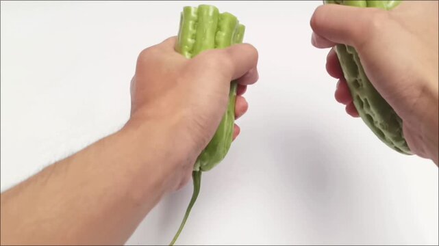Hand Snapping Bitter Gourd Bitter Melon into Pieces