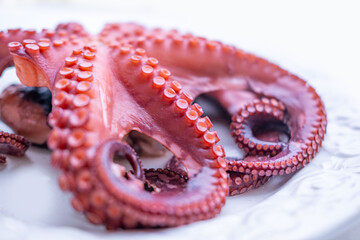 fresh octopus tentacles with detailed suction cups on white plate, Octopus tentacles pink texture, seafood culinary ingredient for gourmet cooking, Mediterranean diet, exotic flavors, restaurant menu © kittyfly