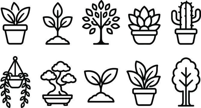 Collection of potted plants and cacti in simple black line art style