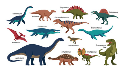 Dinosaur vector illustration set featuring named prehistoric creatures like tyrannosaurus rex stegosaurus spinosaurus and apatosaurus on white background © BULU