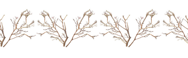 Fototapeta premium Watercolor seamless border with bare tree branches on white background. Autumn or winter hand-drawn botanical rim for card or textile and modern branding. Brown nature frame for wallpaper or wrapping