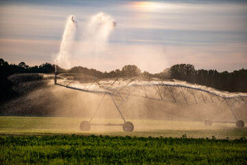Naklejka premium Watering field with pivot irrigation. Watering grass through sprinkler system. Watering meadow with water droplets. Watering background in summer.