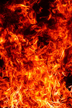 Fire rises with combustion. Fire glows on black background. Fire reveals blazing texture. Fire creates flames.