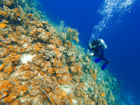 A young man SCUBA diving at a coral reef on Bonaire