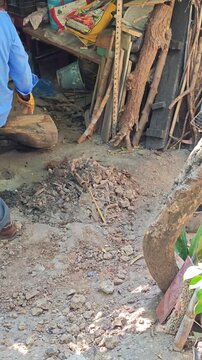 Young man moving burnt wooden log as roaches scatter around