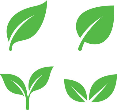 Green leaf collection with eco nature symbols for sustainable design