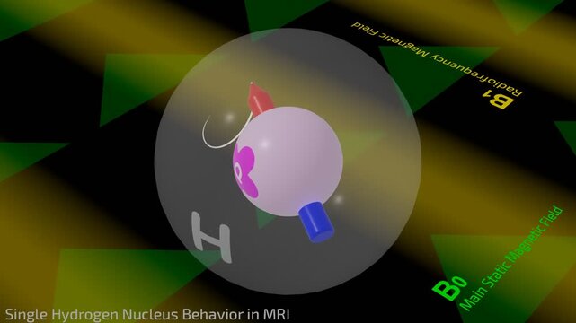 Single Hydrogen Nucleus Behavior in MRI (Microscopic View)