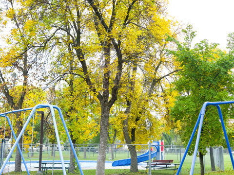 Yellow autumn trees beside a playground swing set