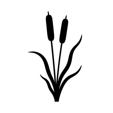 Minimalist cattail plant vector illustration ideal for nature-themed
