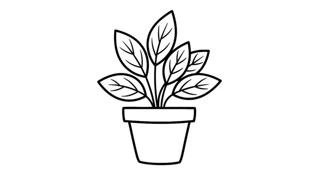 Simple line drawing of potted plant.