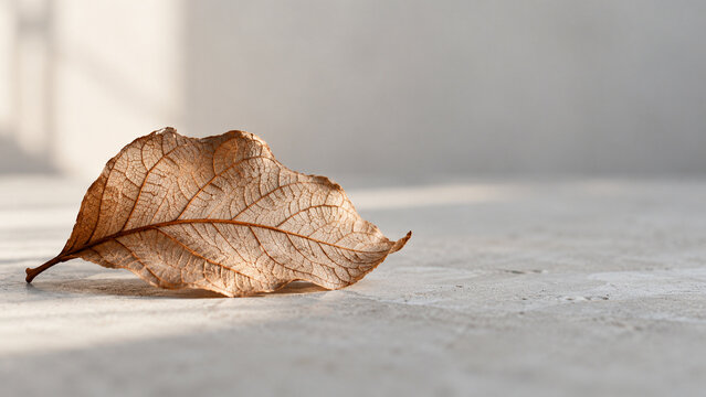 Dried leaf with copper veins on concrete, minimal nature and calm workspace concept